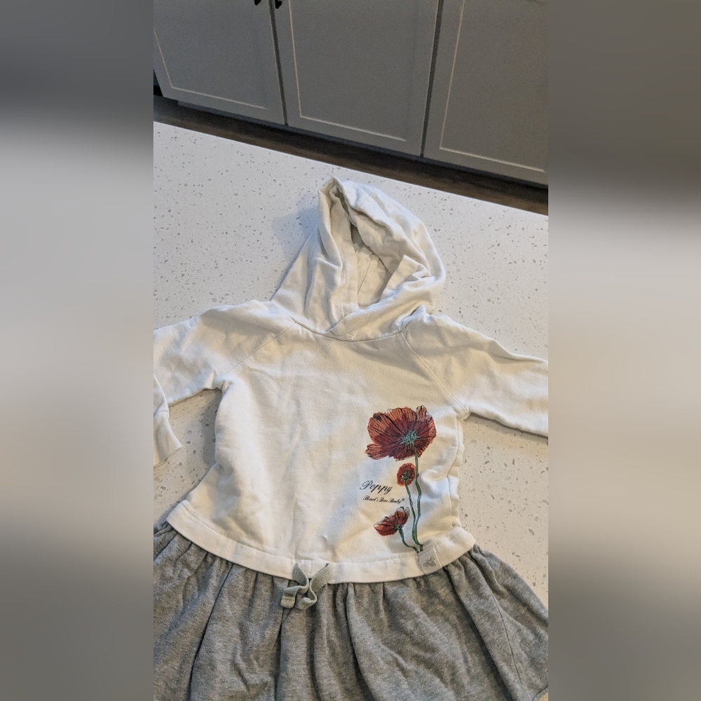 Burt's bees hoodie dress with matching pants